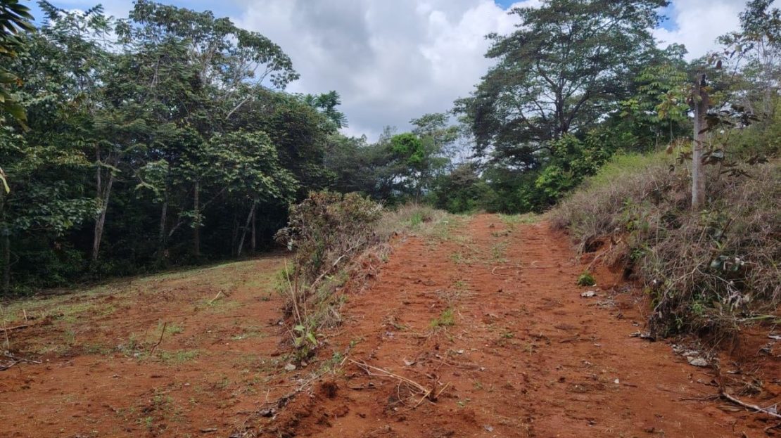 For Sale: 1000 m² lot perfect for residential development