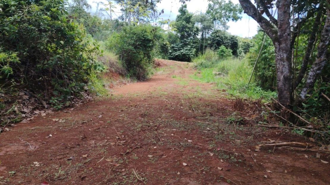 Smart investment: Lots for sale with access to schools