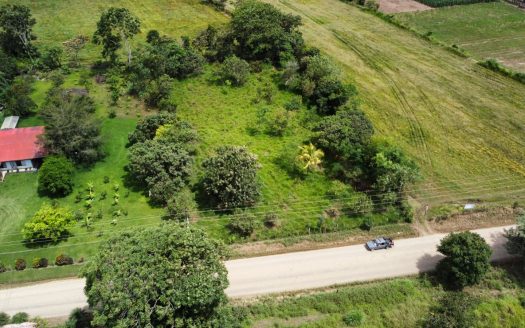 For Sale: Unique Opportunity: 3,497 M² Of Completely Flat And Fertile Land