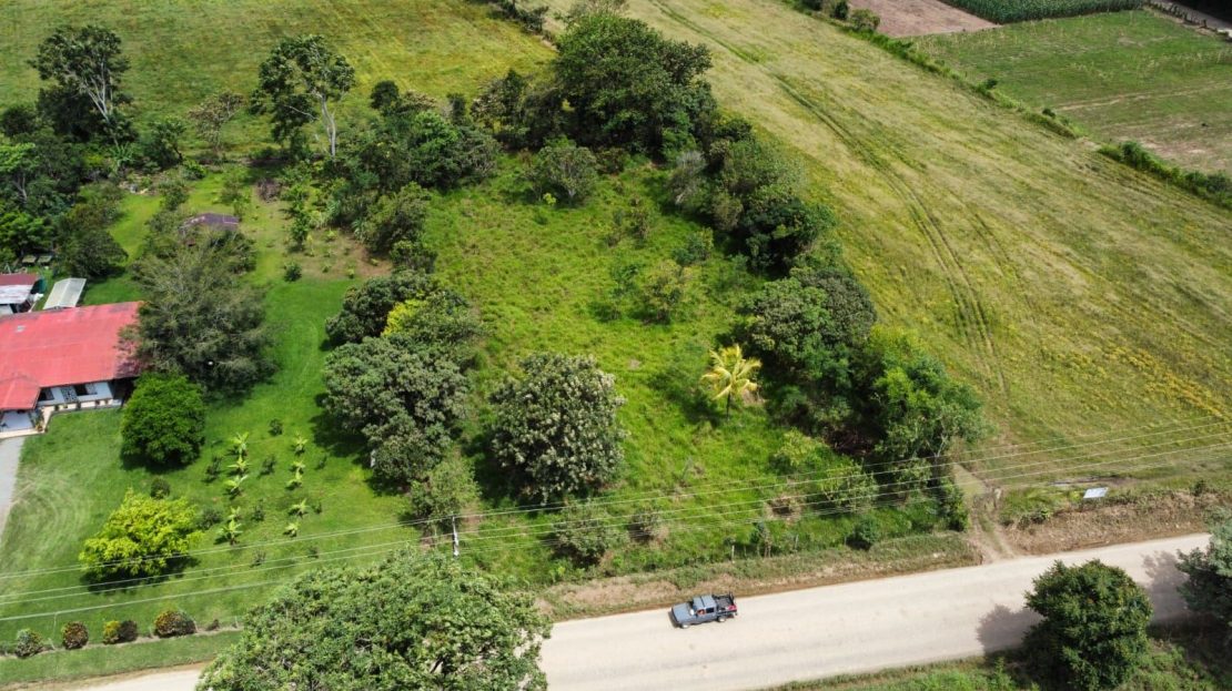 497 M² Of Completely Flat And Fertile Land
