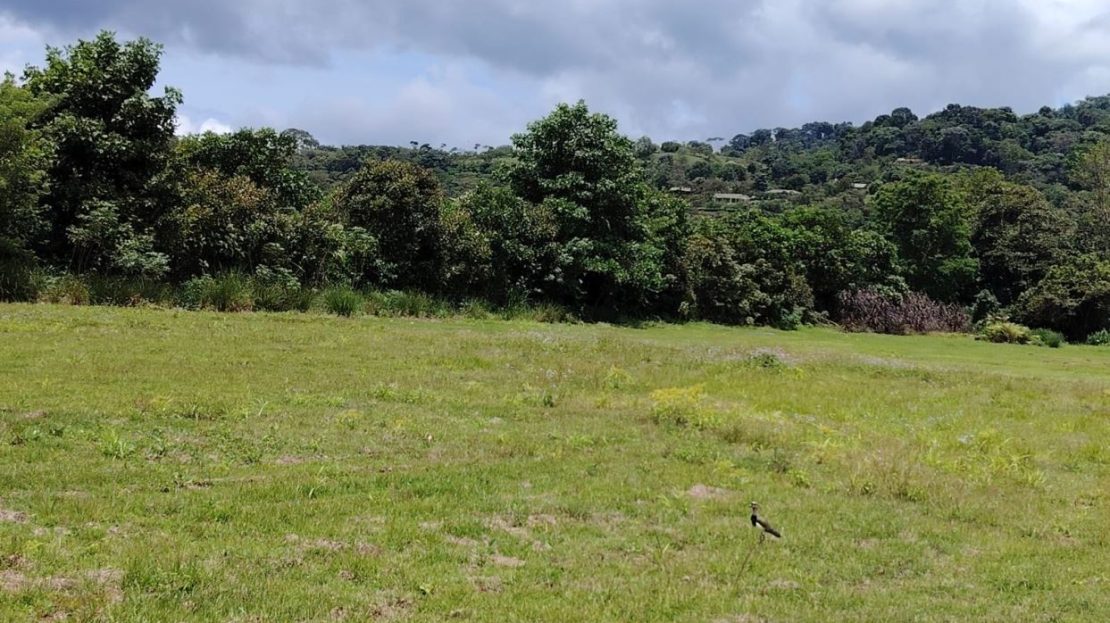 For Sale: Beautiful Flat Farm With Pasture