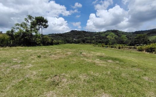 For Sale: Beautiful Flat Farm With Pasture, Ornamentals, And High Investment Potential