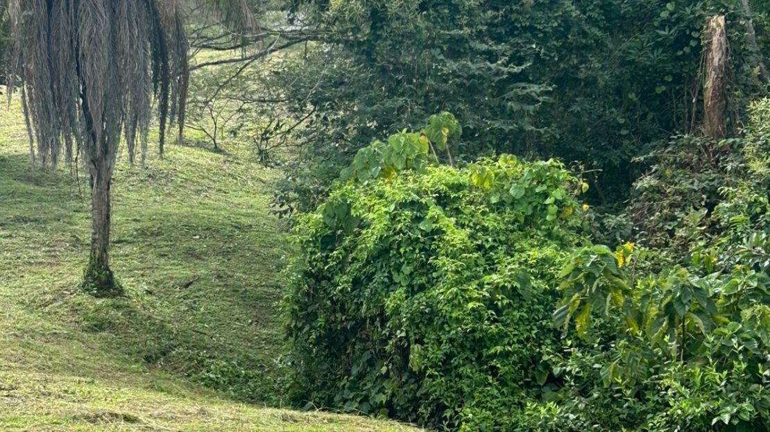 One of the last lots in one of the most exclusive Atenas neighborhoods