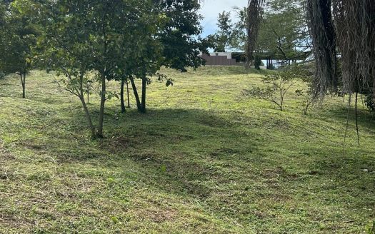 One of the last lots in one of the most exclusive Atenas neighborhoods