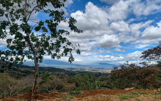 Prime 1,000 m² Lot with Beautiful Views and Ready-to-Build Terraces