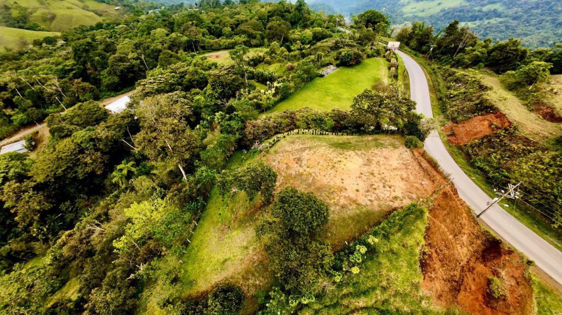Fruit Trees & Beautiful Views