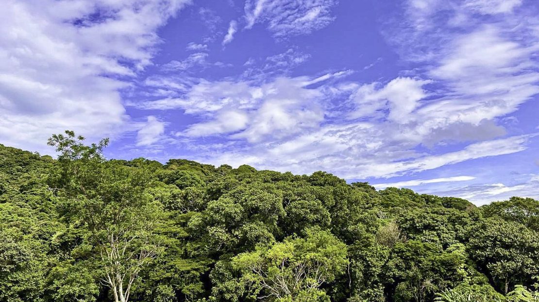 Costa Rica Real Estate