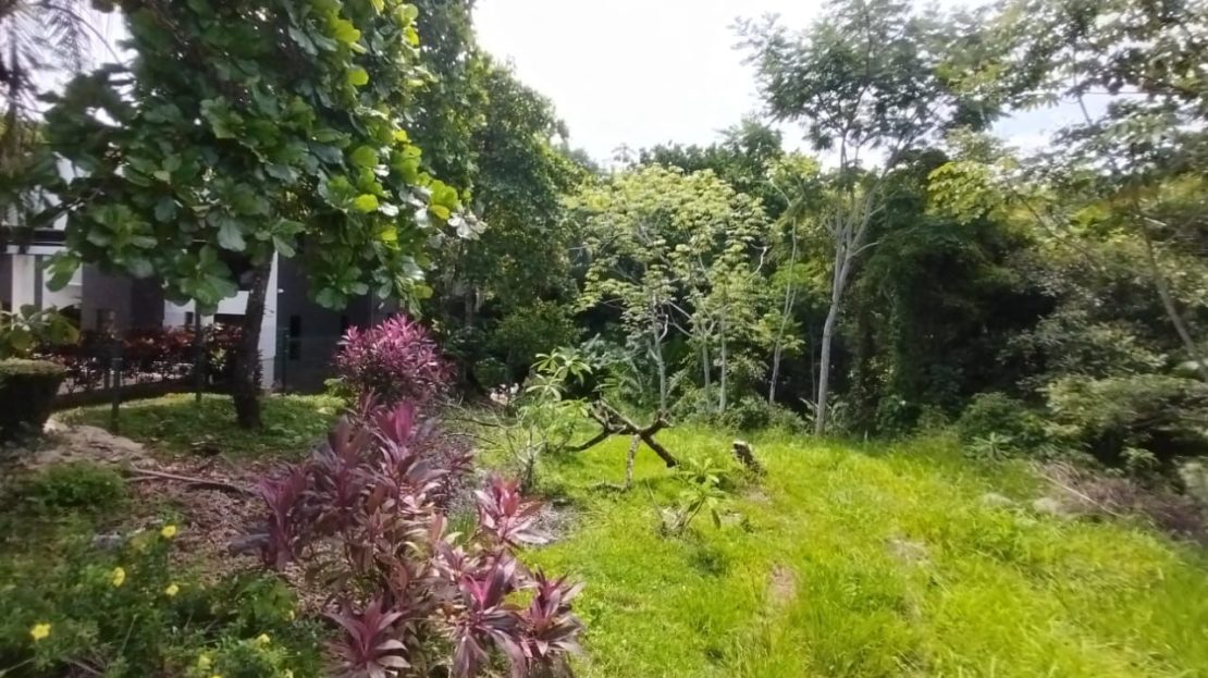 all For Sale 101900 | RE/MAX Costa Rica Real Estate