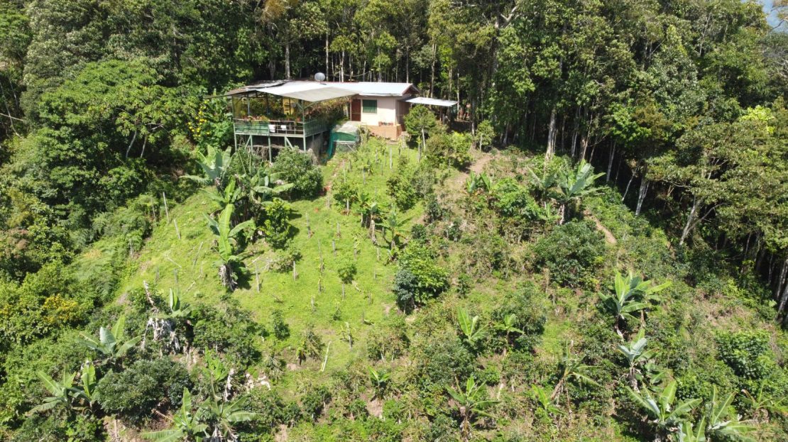 Costa Rica Real Estate