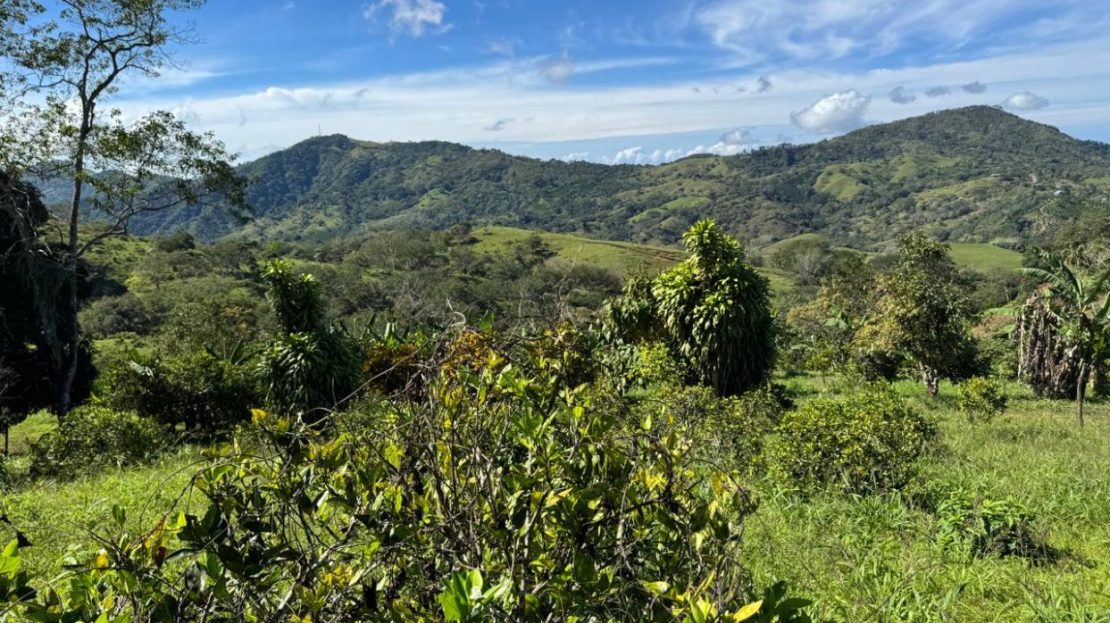 Mountain Farm with Oranges