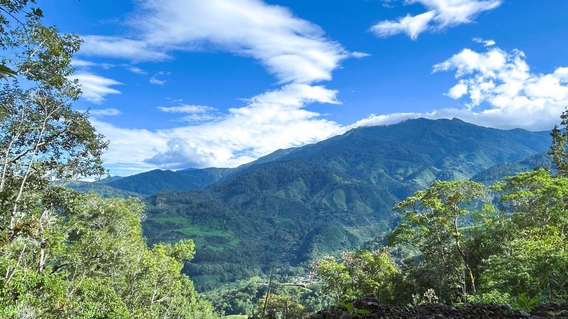 Agricultural Farm for sale in Páramo