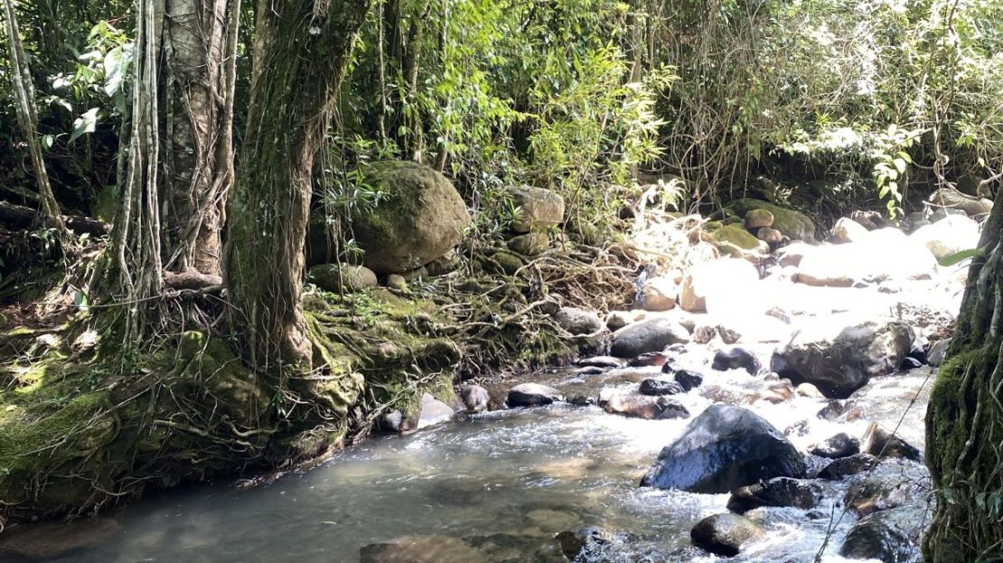 Costa Rica Real Estate