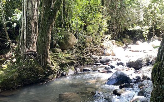 Beautiful farm for sale in Miraflores, Pérez Zeledón