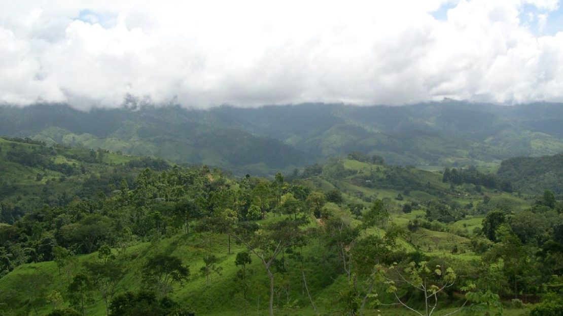 Hypnotic 25-Acre property for sale in the hearth of nature