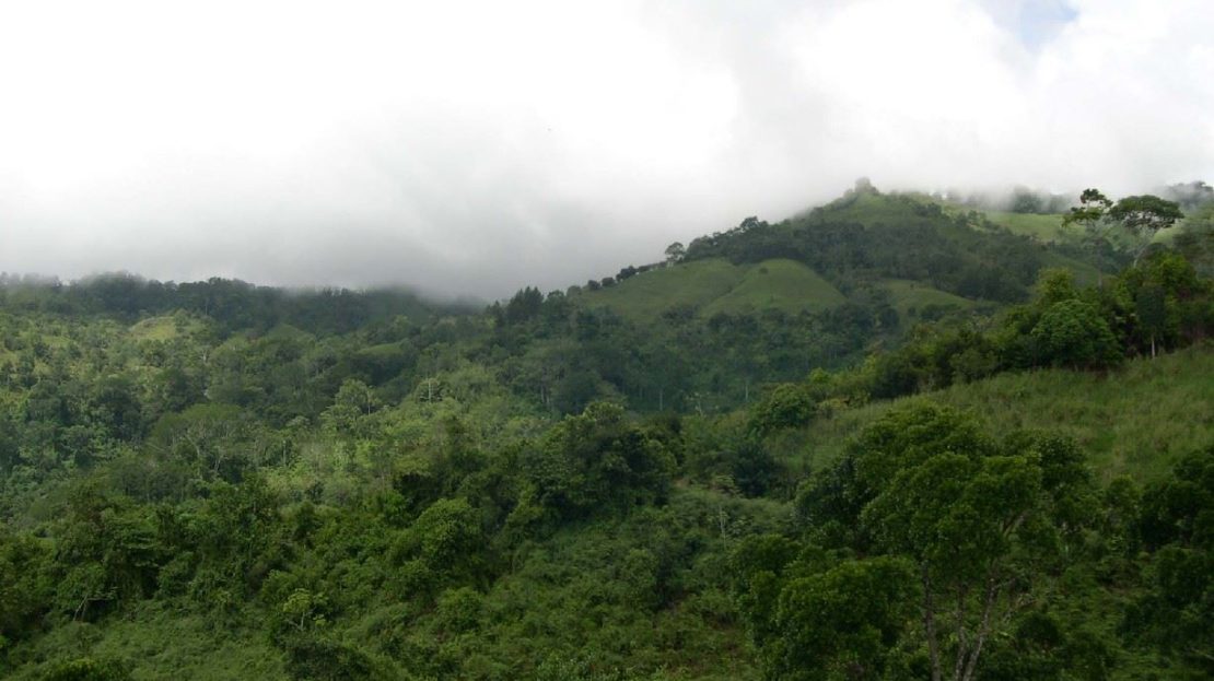 Costa Rica Real Estate