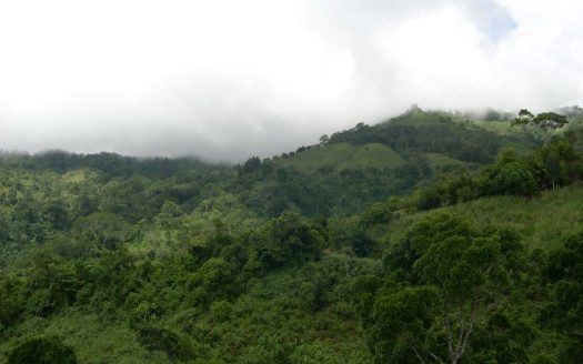 Hypnotic 25-Acre property for sale in the hearth of nature, Quepos Costa Rica