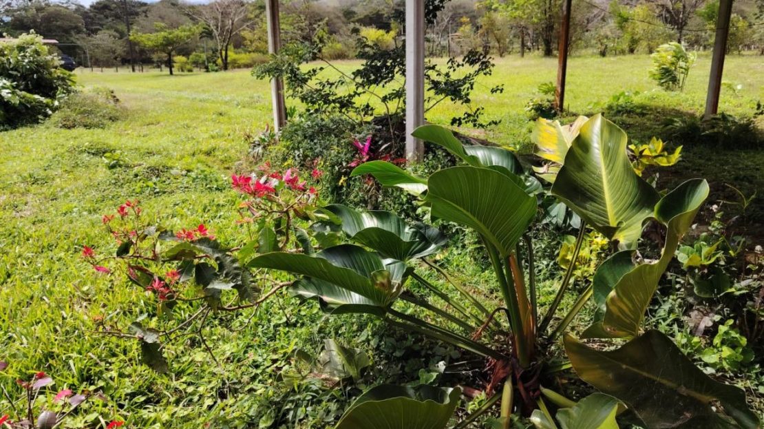 Costa Rica – Exceptional Investment Opportunity For sale in Costa Rica