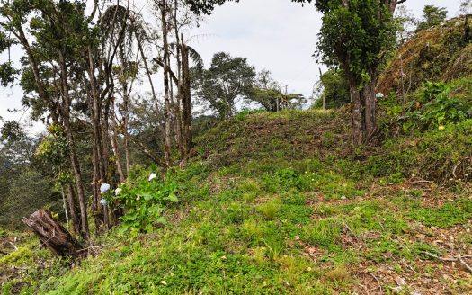 Amazing opportunity: beautiful sloping land for sale in the heart of División.