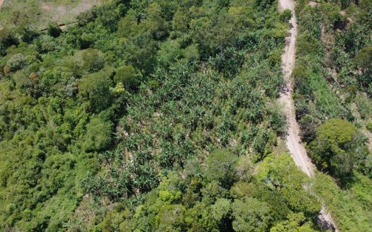 Land For Sale In La Fila, Rivas – Coffee And Banana Farm Near Chirripó