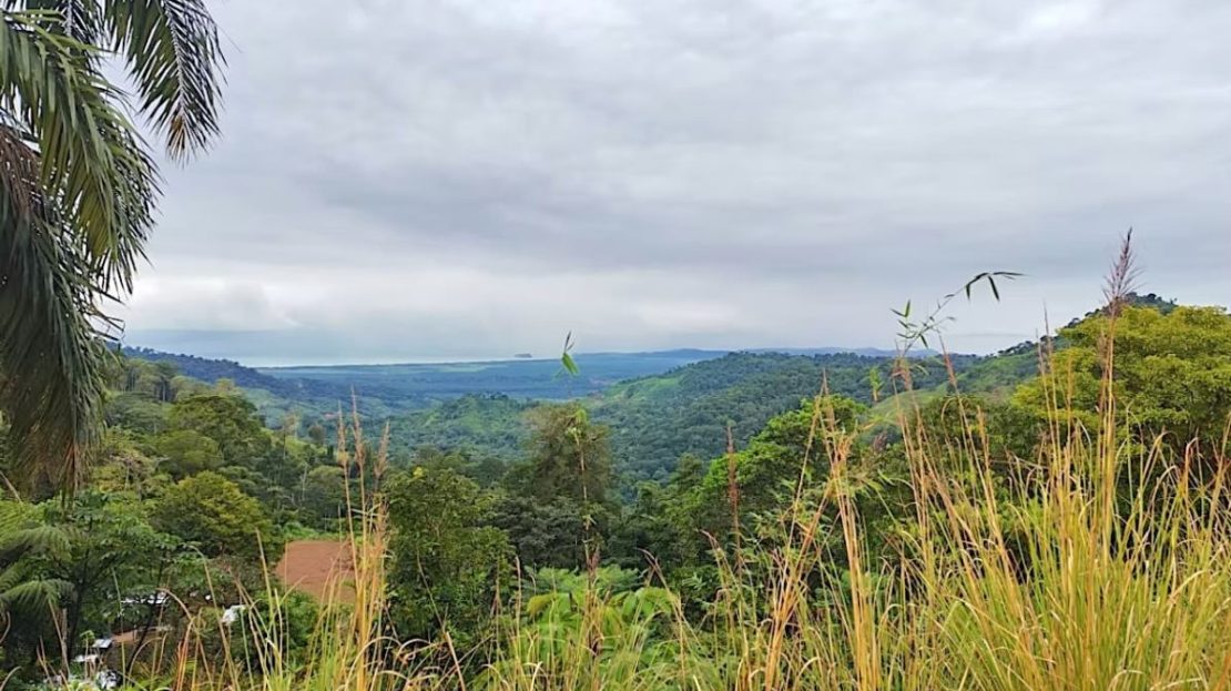 Costa Rica Real Estate