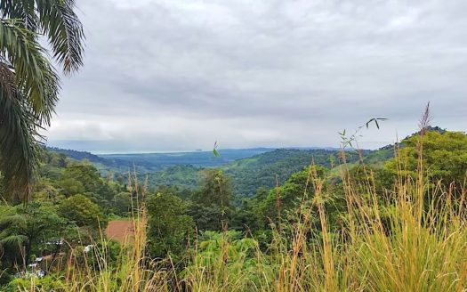 Prime 360° View Lot with Pacific and Savegre Valley Vistas