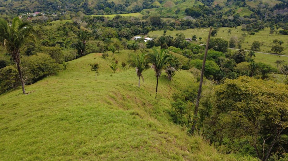 Massive cattle farm for sale in Perez Zeledon