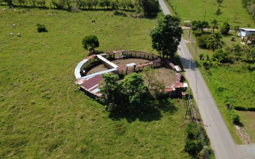 Flat Cattle Farm for sale in Perez Zeledon