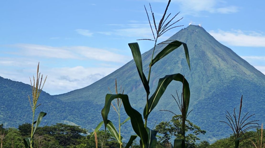 San Carlos -  La Fortuna
