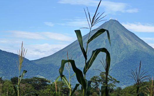 San Carlos -  La Fortuna