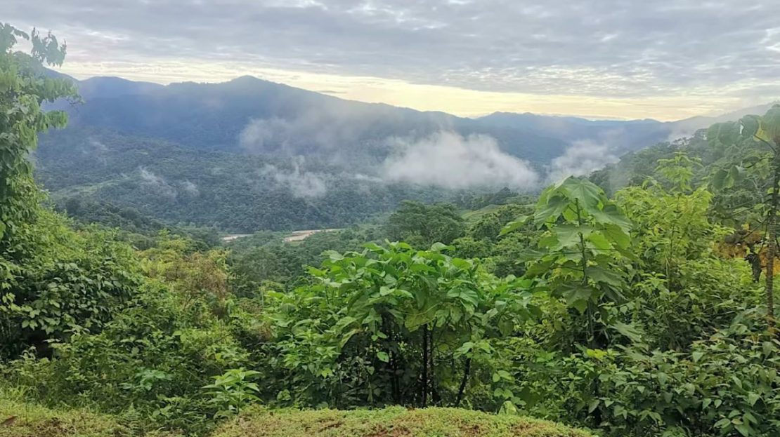 Costa Rica Real Estate