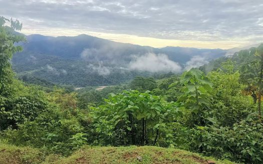Private Mountain Sanctuary with Breathtaking Savegre Valley Views