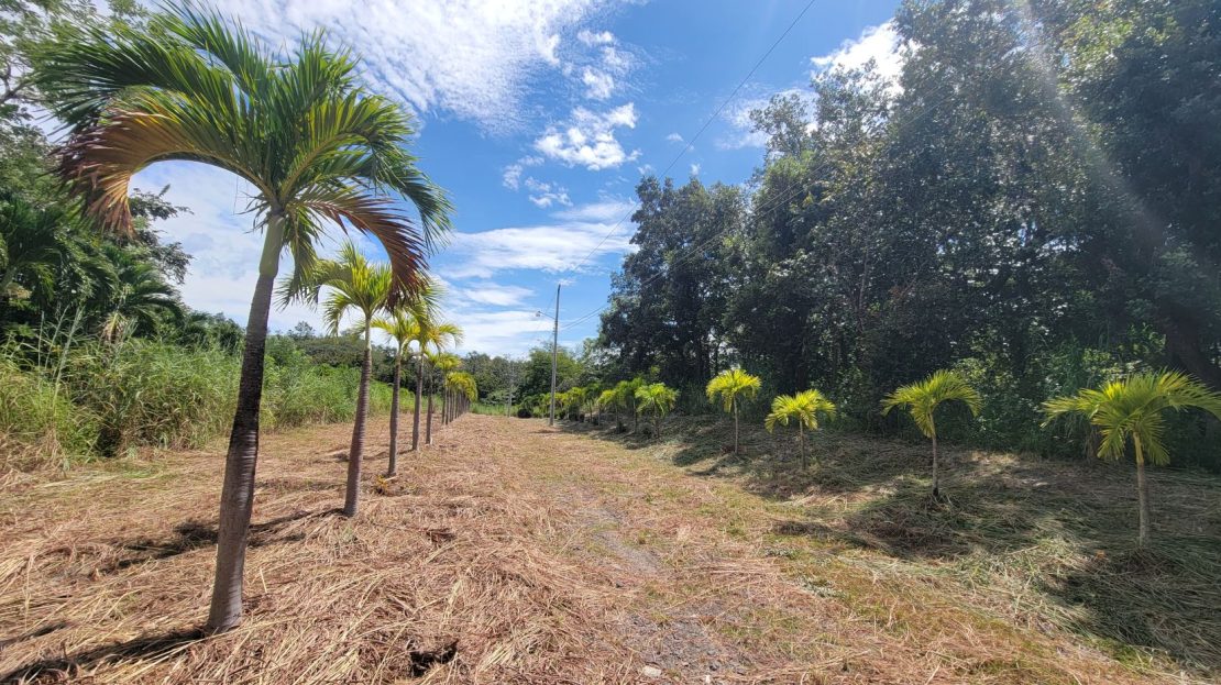 Costa Rica Real Estate