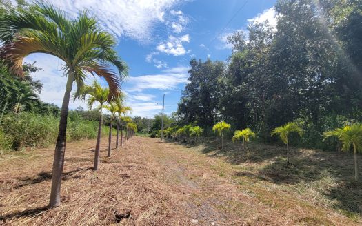 Riverfront Residential Development of 47 hectares