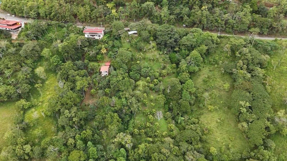 Spacious Lot For Sale With Beautiful Views And Private Spring Water In The Center Of La Palma