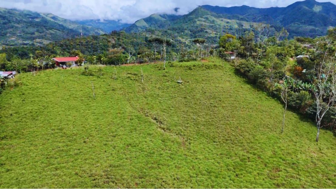 Scenic 2+ Hectare Pasture with Valley Views