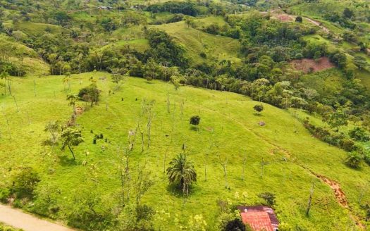 5.12 Hectares for Sale in Miraflores, Pérez Zeledón – Pasture Land with Views, Water & Electricity