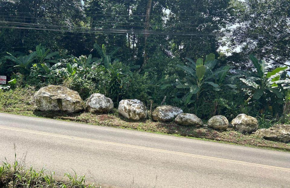 BEAUTIFUL LOT FOR SALE 1