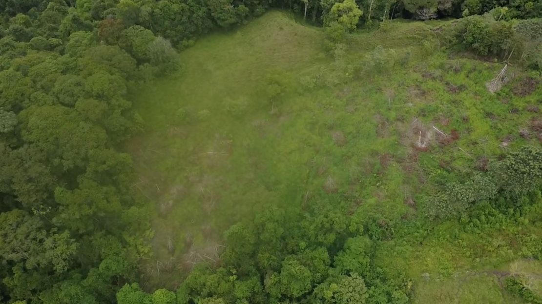 For Sale: Nearly 1.4-hectare Lot With Open Views Of The Valle Del General