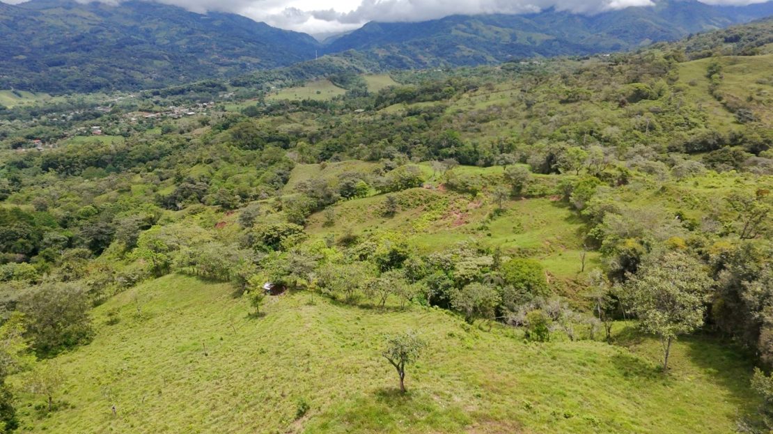 For Sale: 3.8 Hectares in Pérez Zeledón with Creek