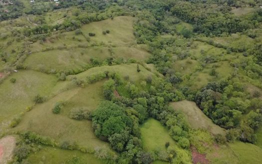 For Sale: 3.8 Hectares in Pérez Zeledón with Creek, Fruit Trees, and Stunning Views