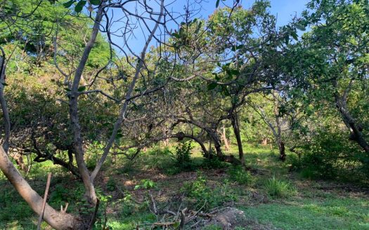 Beautiful property in Bajamar