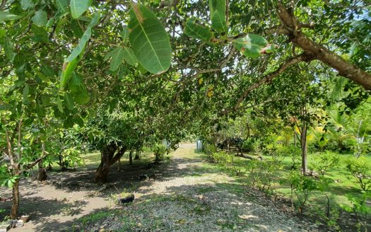 Beautiful beachfront property for sale