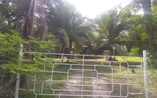 LOT | Walk to BEACH | Tivives