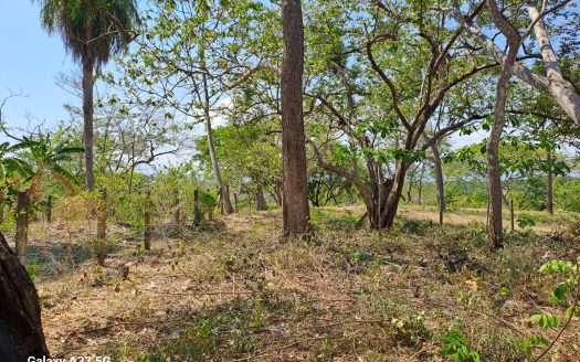 LOT NEAR PEÑON GUACALILLO – PUNTARENAS