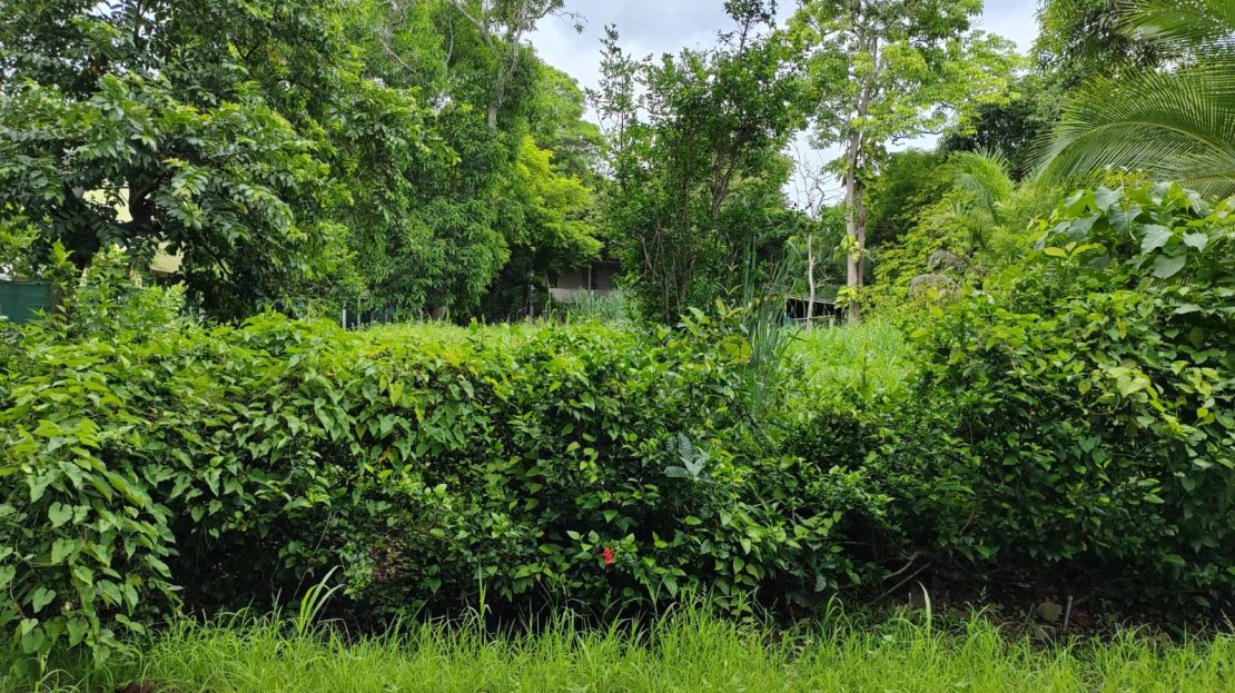 Bajamar For Sale 24097 | RE/MAX Costa Rica Real Estate