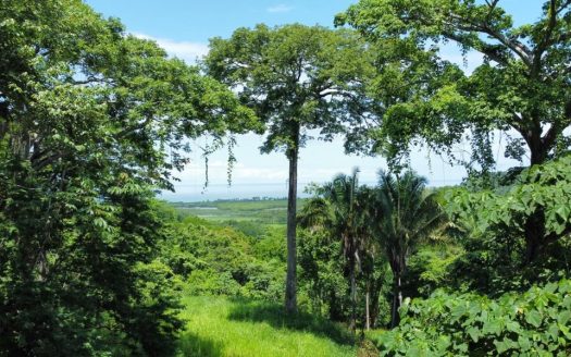 Beautiful 25 Acre Property in Playa Bejuco Guanacaste | REMAX