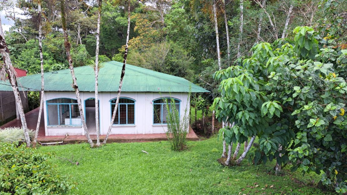 Coto Brus>San Vito Real Estate Listings 29938