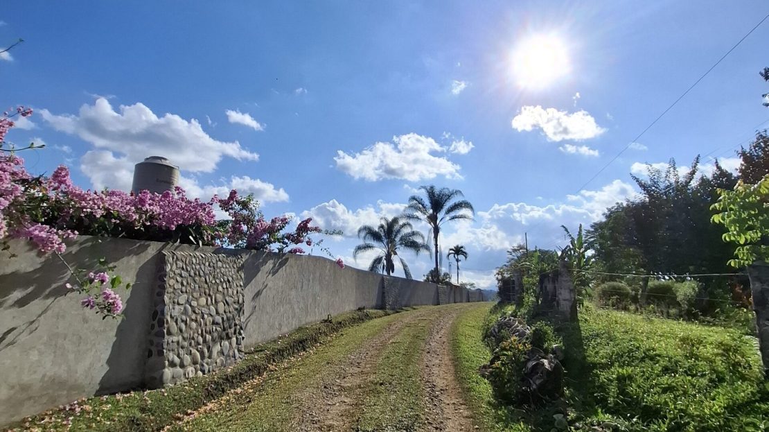 Coto Brus>San Vito Real Estate Listings 30269