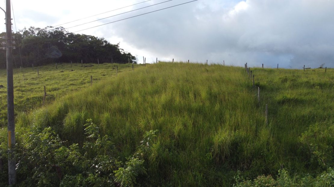 Costa Rica Real Estate