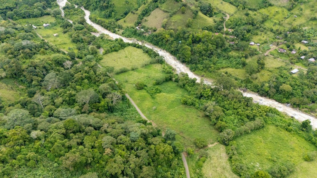 Río Nuevo de Savegre